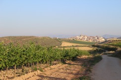 Typical Village Nearing Rioja